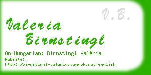 valeria birnstingl business card